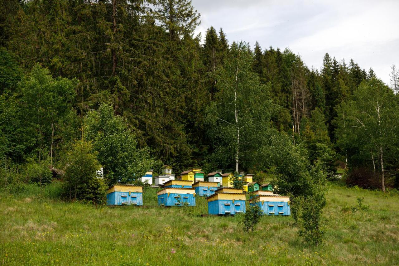 Медовий Двір Nizhnyaya Rozhanka Exterior photo